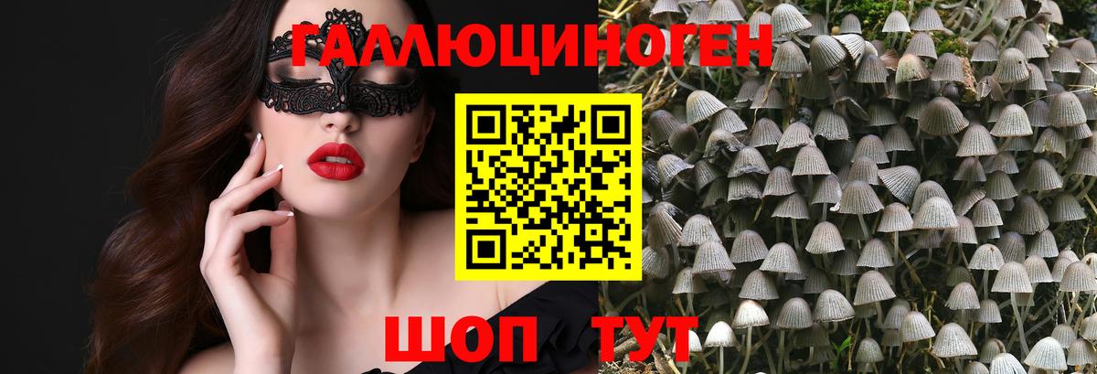 Галлюциногенные грибы Psilocybe  цены   Гусь-Хрустальный  Псилоцибиновые грибы мухоморы  Вход с VPN 