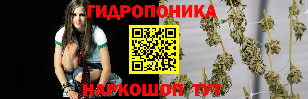 Канабис VHQ  Шишки марихуана тримм  МАРИХУАНА план  Конопля Amnesia  Вход с VPN  Гусь-Хрустальный 